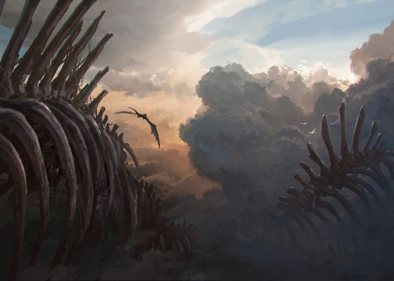 Feeding grounds